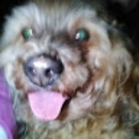 patchesmomma53